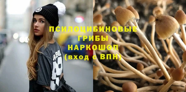 мет Алексин