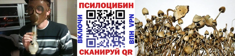 Псилоцибиновые грибы мухоморы  Заринск 