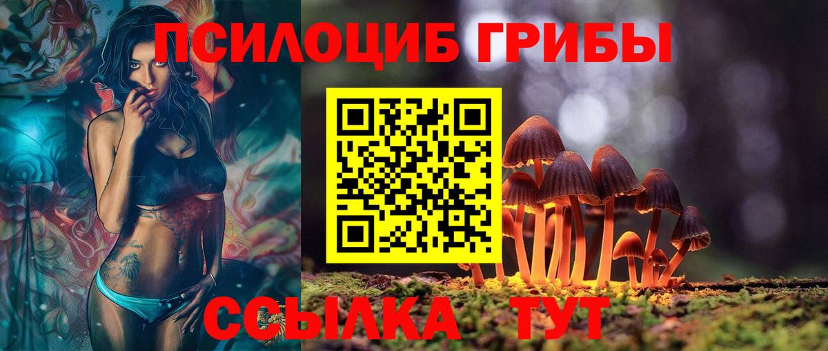 Заринск  Псилоцибиновые грибы мицелий  Вход с VPN 