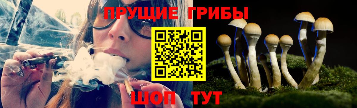 Галлюциногенные грибы мицелий Заринск